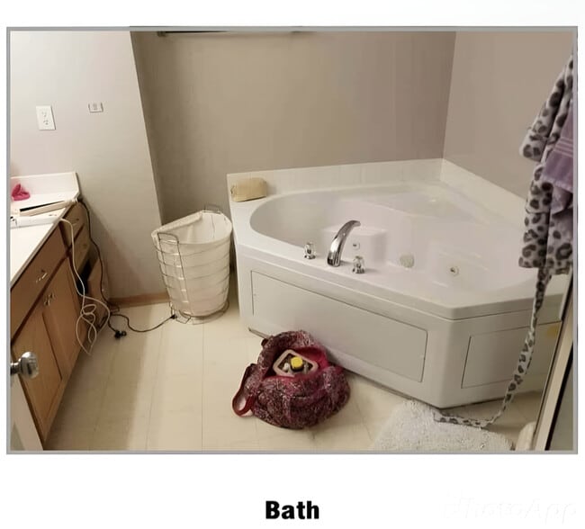 1019 NE Greenview Dr in Ankeny, IA - Building Photo - Building Photo