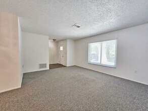 3101 Egret Terrace in Safety Harbor, FL - Building Photo - Building Photo