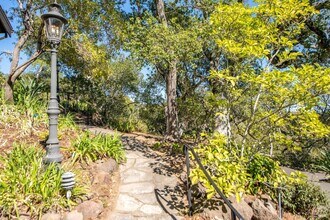 20 Vista Dr in Kentfield, CA - Building Photo - Building Photo