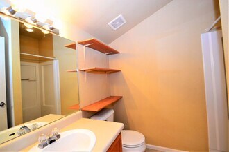 2404 St Paul Dr in Colorado Springs, CO - Building Photo - Building Photo
