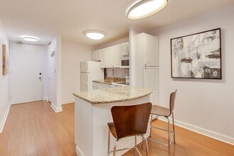 1339 N Dearborn St in Chicago, IL - Building Photo - Building Photo