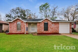 17002 Tibet Rd in Friendswood, TX - Building Photo