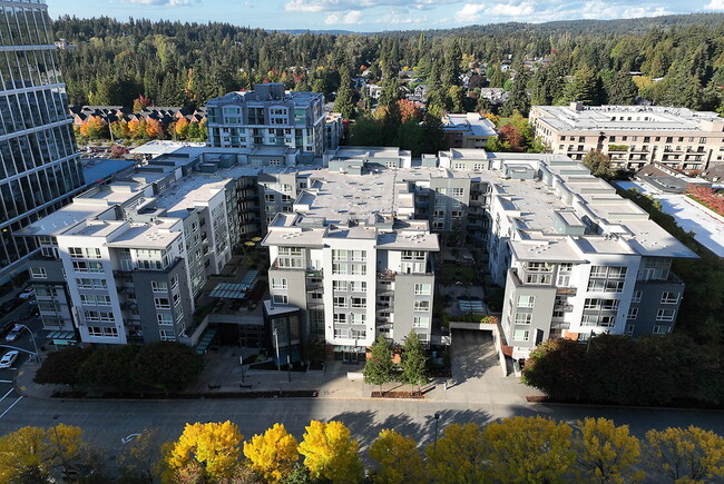 Belcarra in Bellevue, WA - Foto de edificio - Building Photo