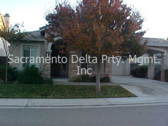 2328 Shorebird Ct in Elk Grove, CA - Building Photo - Building Photo