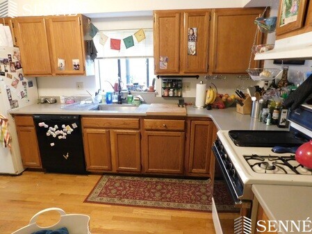 351 Norfolk St, Unit 1 in Cambridge, MA - Building Photo - Building Photo