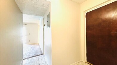 5501 Pokeweed Ct in Tampa, FL - Building Photo - Building Photo
