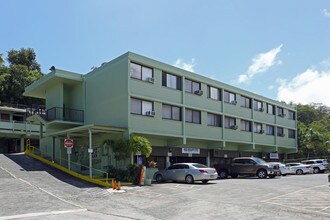 1351 Lower Main St in Wailuku, HI - Building Photo - Building Photo