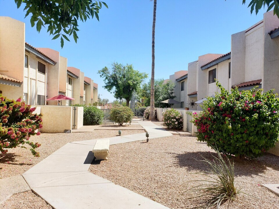 2615 Hayden Rd in Scottsdale, AZ - Building Photo