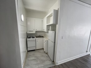 919 S. Manhattan Pl in Los Angeles, CA - Building Photo - Building Photo