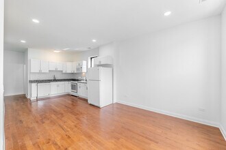 914 W 19th Plz, Unit 2 in Chicago, IL - Building Photo - Building Photo