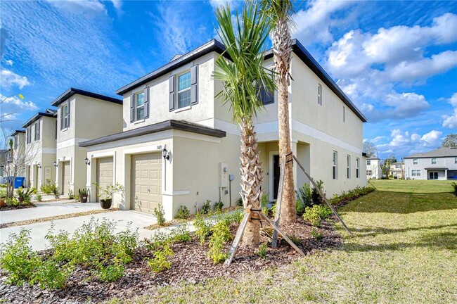 36195 Risa Michele St in Zephyrhills, FL - Foto de edificio - Building Photo