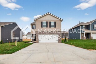 346 Alta Tree Blvd in Johnson City, TN - Building Photo