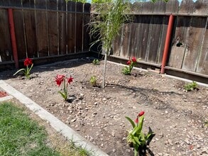 1500 Van Dorsten Ave in Corcoran, CA - Building Photo - Building Photo