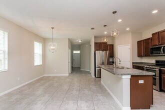 21356 Southern Charm Dr in Land O Lakes, FL - Foto de edificio - Building Photo