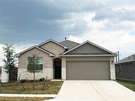 453 Apache Plum Dr in Niederwald, TX - Building Photo