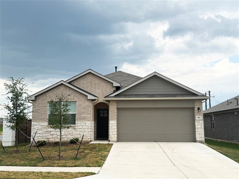 453 Apache Plum Dr in Niederwald, TX - Building Photo
