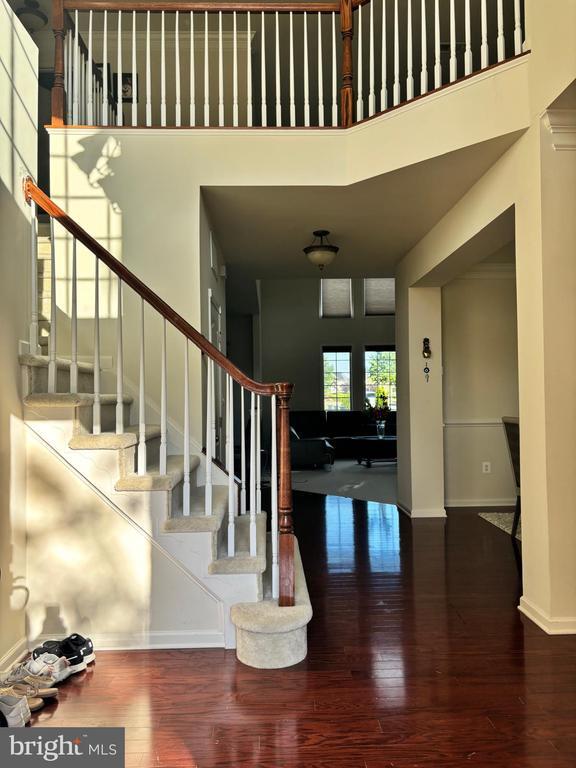 43376 Barnstead Dr in Ashburn, VA - Building Photo - Building Photo