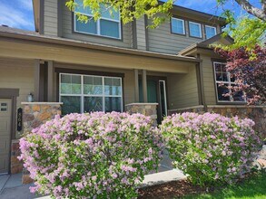 864 Tarpan Pl in Castle Rock, CO - Building Photo - Building Photo