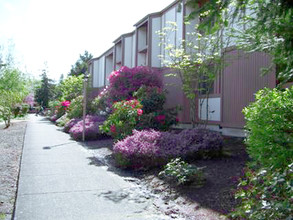 Ridgeview Terrace Senior Apartments in Mount Vernon, WA - Building Photo - Building Photo