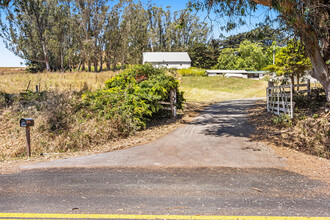 Ledger Ranch in Tomales, CA - Building Photo - Building Photo