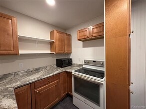 121 Wilkinson St in Chelsea, MI - Building Photo - Building Photo