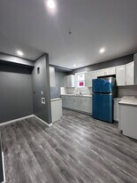 153 Vine St in Plymouth, PA - Building Photo