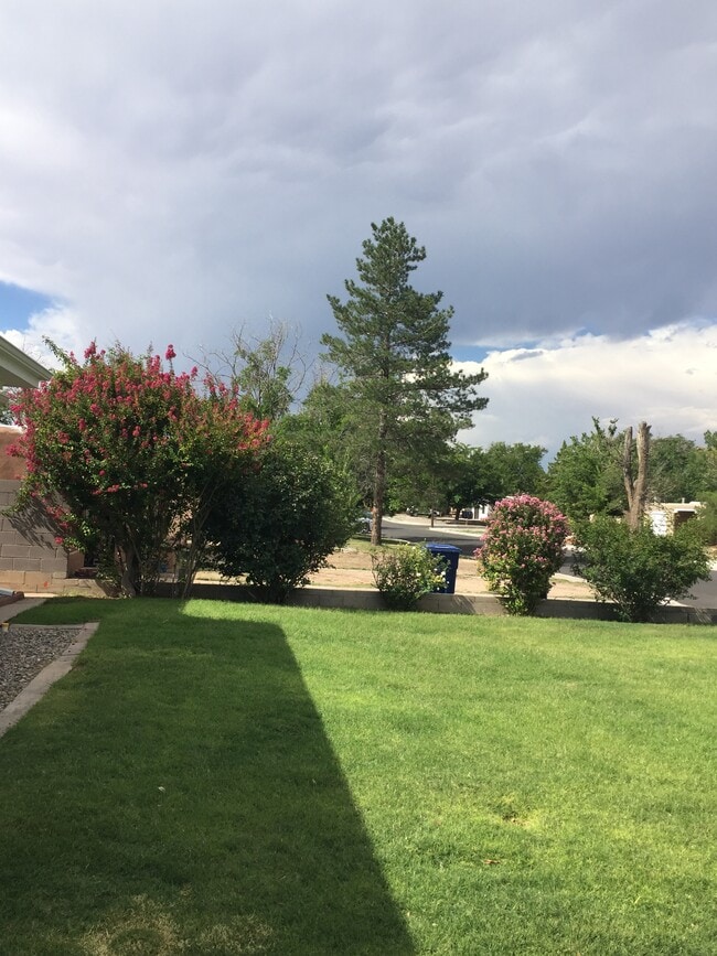 709 Palomas Dr NE in Albuquerque, NM - Building Photo - Building Photo