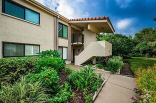 6382 Palma Del Mar Blvd S in St. Petersburg, FL - Building Photo