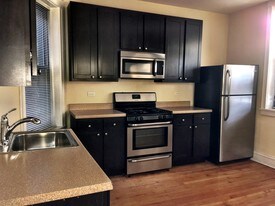 4132 N Pulaski Rd, Unit 3 in Chicago, IL - Building Photo