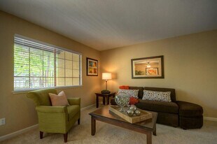 401 Canyon Woods Pl in San Ramon, CA - Building Photo