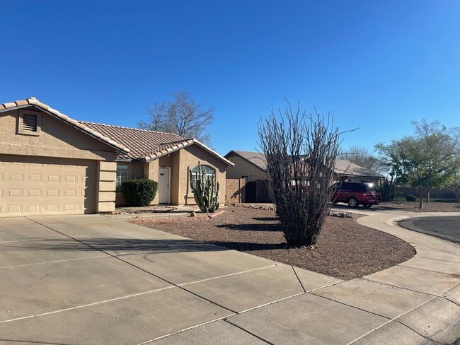 property at 2894 E Pony Ct