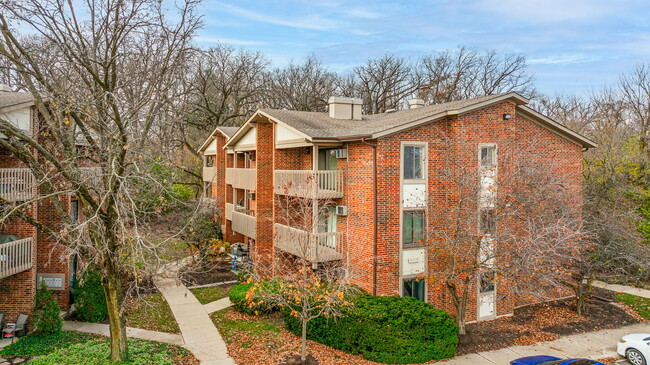 2370 Abbeywood Dr in Lisle, IL - Foto de edificio - Building Photo