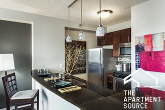 345 E Ohio St in Chicago, IL - Building Photo - Building Photo