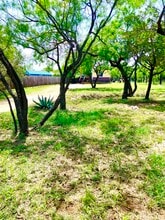 1328 Steen Rd in Kingsland, TX - Building Photo - Building Photo