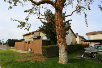 Parker Townhomes in Bakersfield, CA - Building Photo - Building Photo