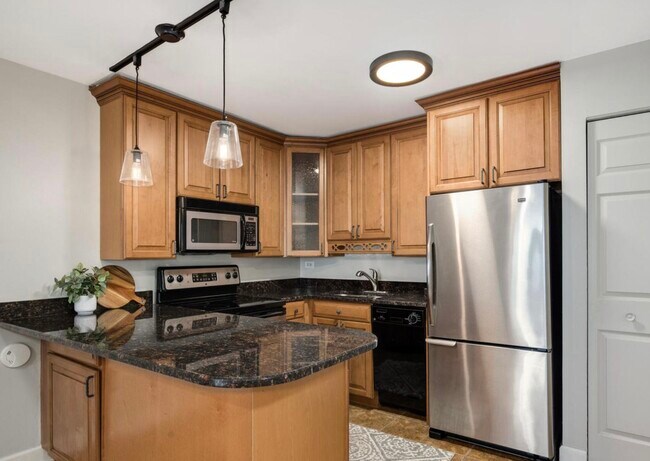 420 W Aldine Ave, Unit 401 in Chicago, IL - Building Photo - Building Photo