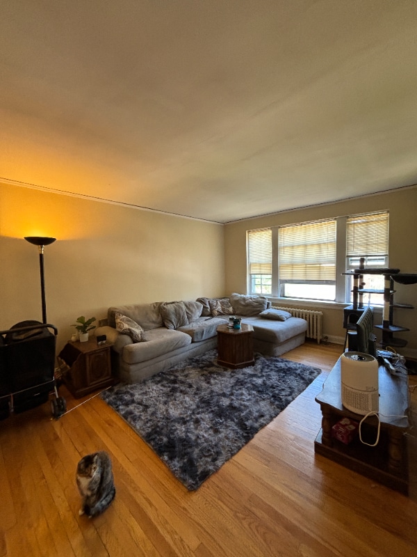 property at 1429 Martha Washington Dr