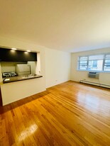 535 W Briar Pl, Unit 506 in Chicago, IL - Building Photo