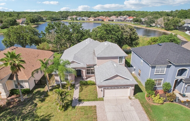 10435 Deerberry Dr in Land O Lakes, FL - Building Photo - Building Photo