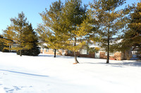 Western Pines in Flint, MI - Building Photo - Building Photo