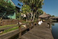Building Photo - Island Walk by Cortland Apartments in Tampa, Florida