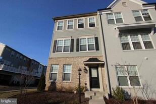 25504 Feltre Terrace in Chantilly, VA - Building Photo