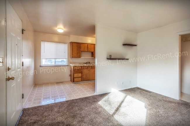 309 N Shields St in Fort Collins, CO - Building Photo - Building Photo