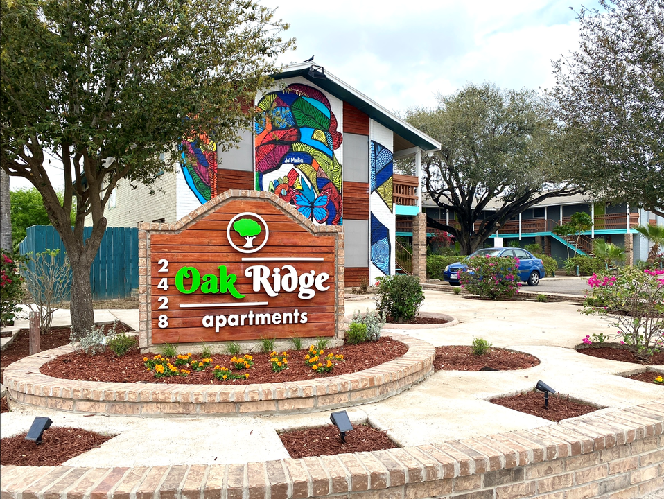 Oak Ridge Apartments in McAllen, TX - Building Photo