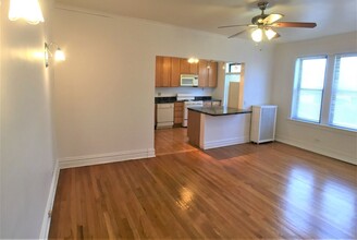 3025 W Addison St in Chicago, IL - Building Photo - Building Photo
