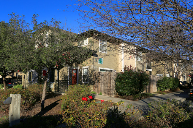 Mayacamas Village Apartments in Napa, CA - Building Photo - Building Photo