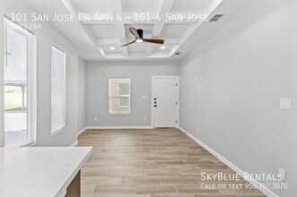 101 San Jose Dr in Mission, TX - Building Photo - Building Photo