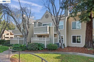 215 Reflections Dr in San Ramon, CA - Building Photo