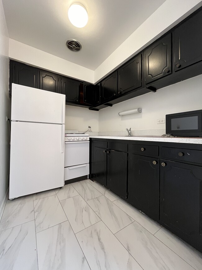515 W Melrose St in Chicago, IL - Building Photo - Building Photo