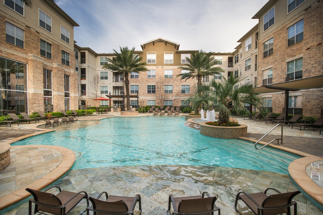 Auxo at Memorial Photo